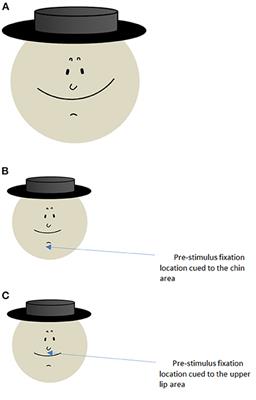 Within-object element ambiguity allows for a strange illusion of alternating facial expression and structure